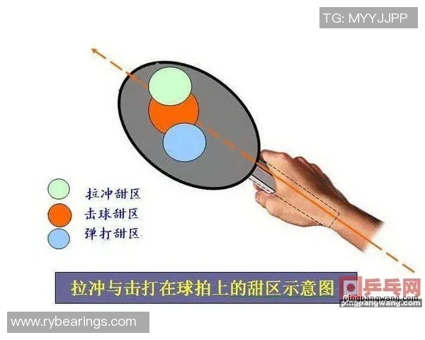 科学乒乓球速度训练方法揭秘提升反应与击球能力的有效技巧
